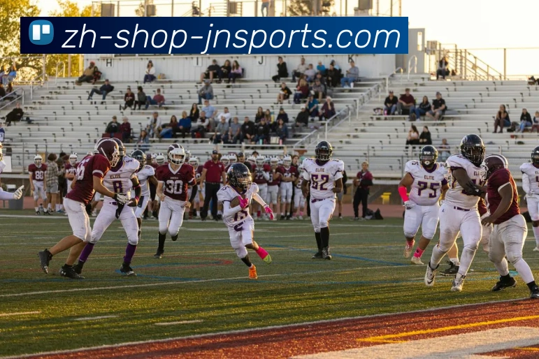 App Interface Preview